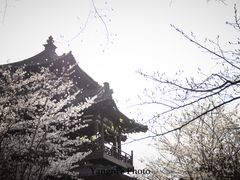 -西安青龙寺遗址景区