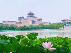 -莲花池公园
