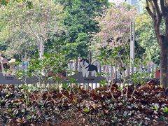 -景田北六街公园宠物主题园