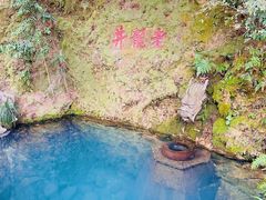 -十八棵（老龙井）御茶园(老龙井店)