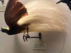 -天津自然博物馆