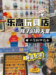 -乐高授权专卖店(朝阳大悦城店)