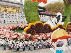 -南海子公园