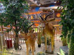 点击看大图 -鲁比猴非洲探索部落(喜盈门店)