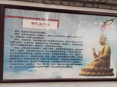 -西安乐游原