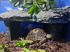 -上海海洋水族馆