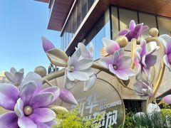 -Nolita西餐厅(金地新华道店)