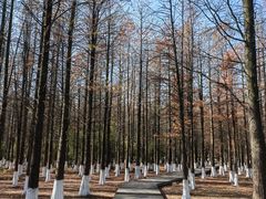 -艾溪湖湿地公园