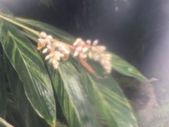 -汇雅温泉