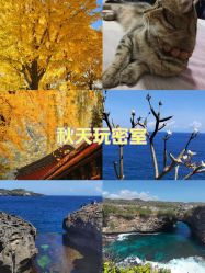 点击看大图 -疯狂冒险家-亲子密室-东坝店(金隅嘉品店)