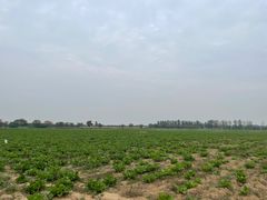 -汉长安城未央宫国家考古遗址公园