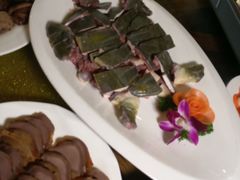 南沙湿地水鱼-百丈园(陈村店)