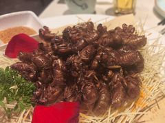 -燕郊烧鸽子(酷车小镇店)