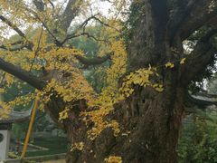 -无锡惠山寺
