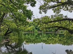-台州府城(东湖)