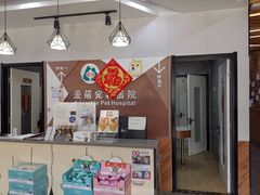 -美联众合宠物医院·爱萌分院·内外科·猫科中心