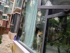 -金牛万达广场