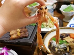 螯虾-蟹将军日本料理(中南路店)
