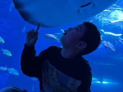 -太平洋海底世界