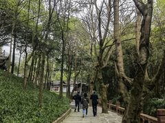 -峨眉山风景名胜区