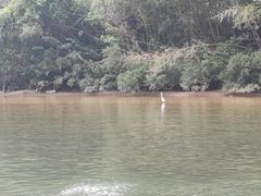 -九曲溪竹筏码头