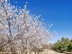 -马家湾湿地公园