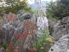 -千岛湖石林