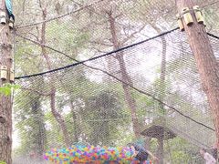 -芦仙山景区-飞越丛林探险乐园