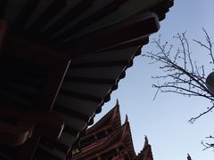 -沙市市中山公园