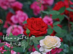 -迎泽公园