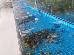 -必点蒸汽海鲜(止锚湾店)