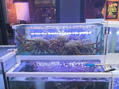 -新罗免税店(首尔总店)