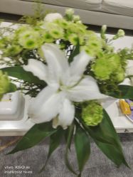 -HEYAN长风荷妍专业脱毛美肤
