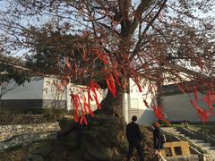 景点-石塘人家