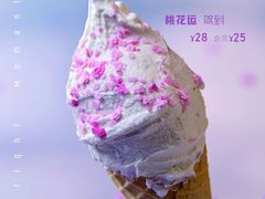 -野人先生现做冰淇淋(北京顺义祥云小镇店)