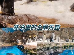 -香港海洋公园