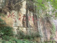 -铁山坪森林公园