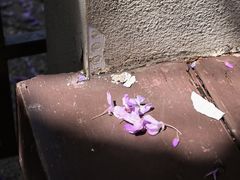 -郑和公园