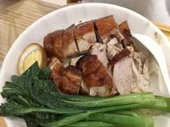 -锦粤宫·精致粤菜(深圳北站店)