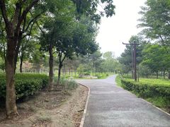 -北京麋鹿生态实验中心