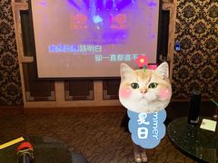 -K+全国连锁KTV(绿地缤纷天地店)