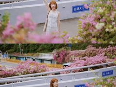 -深圳仙湖植物园-停车场