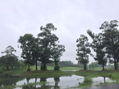 -两河城市森林公园