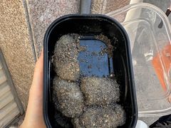 -叶氏麻糍(鼓浪屿店)