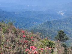 -广东天露山旅游度假区