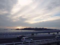 -演武大桥观景平台