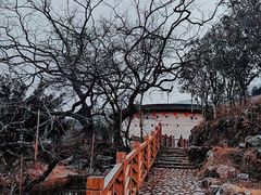 -福建土楼(南靖)景区