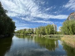 -三忘湖 SWANSEEN(柳荫公园店)