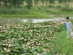 -艾溪湖湿地公园