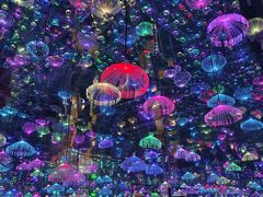 -梵高星空艺术馆(北京旗舰店)